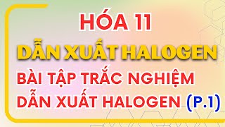 Dẫn Xuất Halogen - Bài Tập Dẫn Xuất Halogen Hóa 11 Chân Trời Sáng Tạo