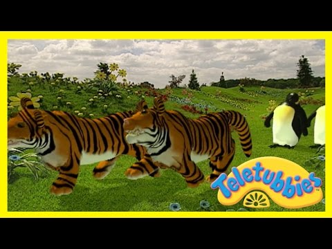 Teletubbies Cat S Night Out Full Episode