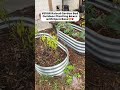 #FlowerBedDesign #GardenGoals #UrbanGardening #DIYFlowerBed