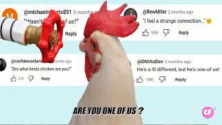 Details Bro, is he one of us  (chicken being chicken) 😂 News