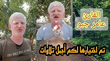 تم اختيارها وتجميعها بعناية أجمل تلاوات القارئ عامر جبو