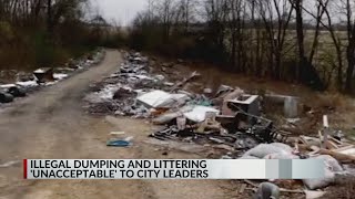 Memphis needs more in Public Service Corps to clean up illegal dumping, littering