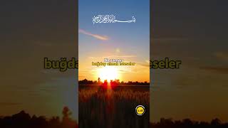 Doğadaki Küçük Detayların Büyük Anlamları