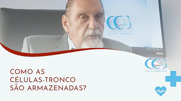 Como as células-tronco são guardadas?