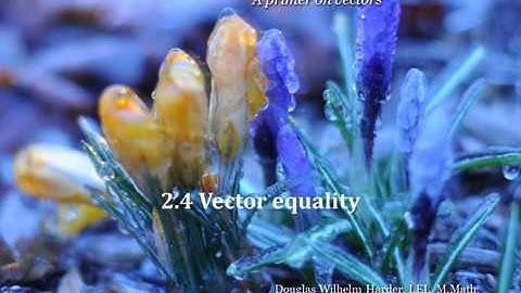 2 4 Vector equality