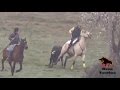 Tradicional encierro a Caballo en el Carnaval del Toro. Ciudad Rodrigo. 26 Febrero 2017