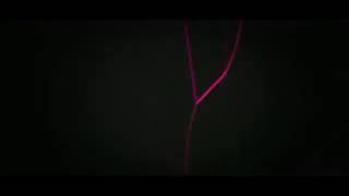 ✘#42 ✘Frame  intro✘