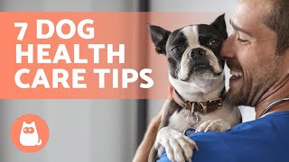 7 TIPS to CARE for Your DOG'S HEALTH