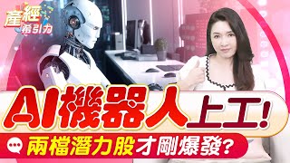 以為AI只有聊天？現在還要幫你搬貨、當醫生啦！準備好認識概念股了嗎？ |產經希引力EP.157| 劉姸希| CC