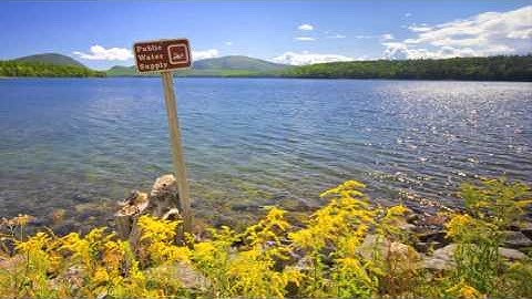 Persistent Organic Pollutants (POPs)