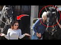 &quot;SILLY ACTS&quot;! What These People Did To The Horse