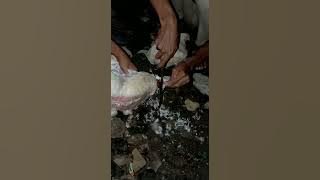 STORY WA TAHUN BARU 2022 👍BAKAR AYAM 🐔😎