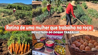 Serviço na roça não para | passamos o dia cuidando, plantando na horta