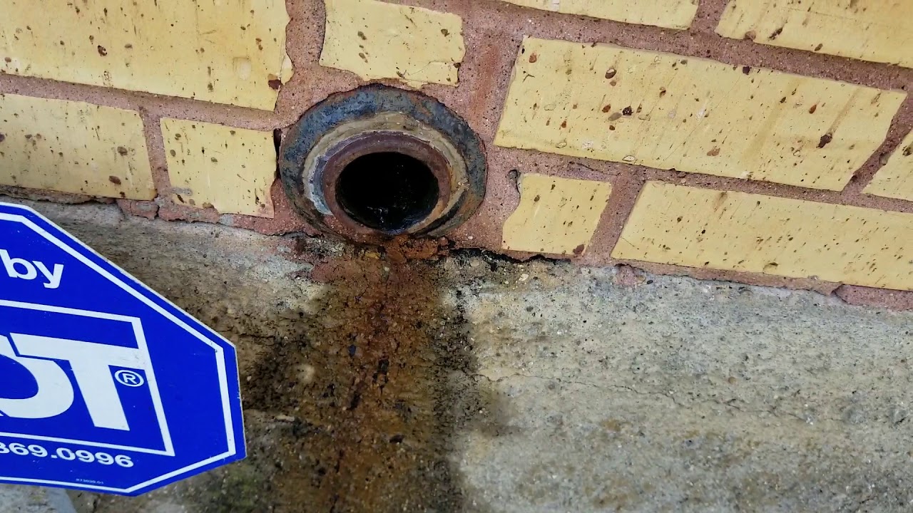 Kitchen drain that was clogged with grease - YouTube