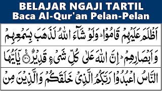 BELAJAR NGAJI QURAN SURAH AL-BAQARAH 21-40 PELAN-PELAN TARTIL