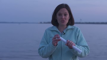 Night Skies: Supermoon & King Tides