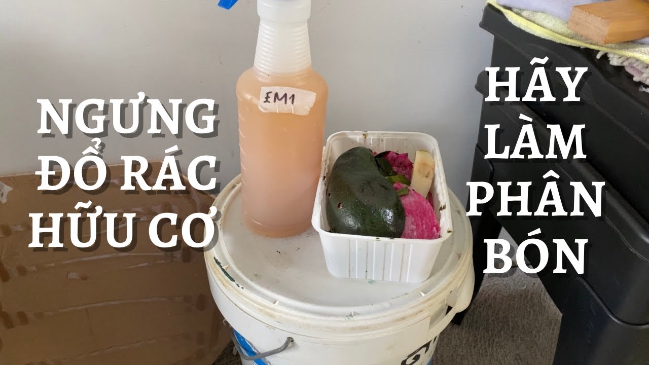 Làm Phân Tổng Hợp Chi Tiết Dùng Men Vi Sinh Toan Trinh