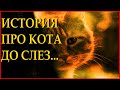 "Уродливый кот" - Игорь Мазунин Читает Леонид Юдин