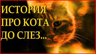 "Уродливый кот" - Игорь Мазунин Читает Леонид Юдин "Уродливый кот" - Игорь Мазунин Читает Леонид Юдин