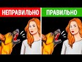 Чего не стоит делать при встрече с бродячей собакой