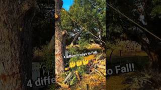 4 Different Ways To Fall Logging