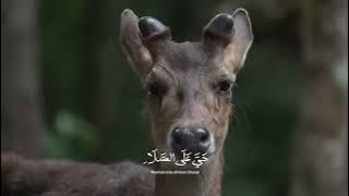 Adzan Maghrib ANTV (2024)