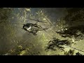 Battlefield 6 redsec MBG sore