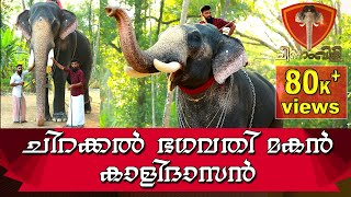 ചിറയ്ക്കല്‍ ഭഗവതി മകന്‍ കാളിദാസന്‍| Janamtv.com | Chinnam Vili | ചിന്നം വിളി | Chirakkal Kalidasan