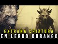 La extraa criatura  de lerdo durango  criptozoologia