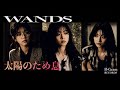 太陽のため息 / WANDS【COVER】