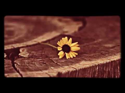 على حسبي وداب قلبي