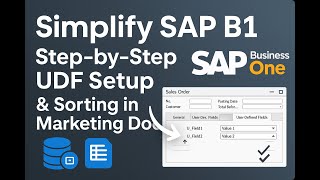 Fix UDF Clutter in SAP Business One: Step-by-Step Custom Field Management