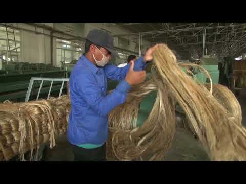 Video: Jute Und Andere Materialien: Was Ist Besser, Flachs Oder Jute? Unterschied Zwischen Jute, Watte Und Sisal. Unterschiede Zwischen Jute Und Tow