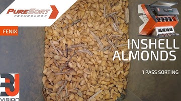 Inshell almonds 1st pass   HD 1080p