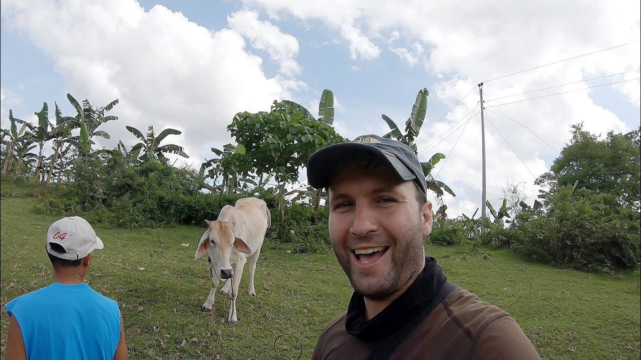 Buying Cow For Philippine Family - Province Life Philippines