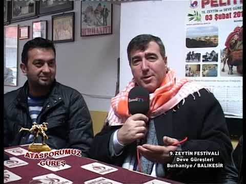 BALIKESİR-BURHANİYE DEVE GÜREŞLERİ-2013 Bölüm-2