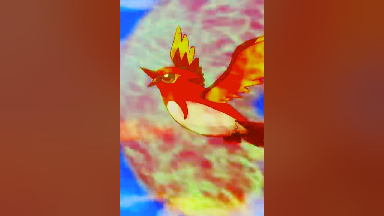 fletchling evolves to fletchinder and battle Talonflame pokemonviral