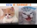 КОТЫ НЕ ПОНИМАЮТ! ))) | Приколы с котами | Мемозг 1368