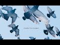 Claude van jacques  i can not fly official