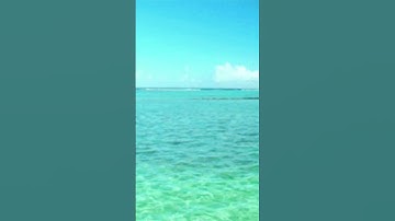 #سورة_البقرة الآية 102 آيات #السحر #قرآن #تلاوة_هادئة #تلاوة_خاشعة #لايك #ترند #مصر #راحة_نفسية