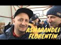 Campion columbofil dl Asmarandei Florentin Pascari Romania porumbei de vanzare 24 nov 2018