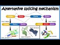 Alternative splicing ( mechanism and its regulation )