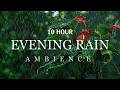 When Your Mind Is Too Full | Heavy Rain Sounds for Deep Sleep, Tinnitus & Stress Relief |White Noise