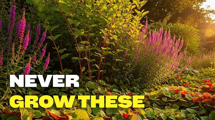 STOP Planting These 11 Plants | They'll Take Over Your Entire Garden!