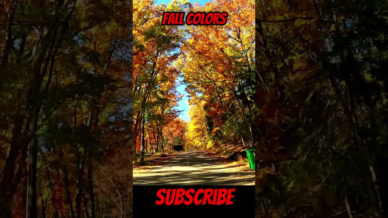 FALL FOLIAGE #93: Painted Post NY Side Streets in Full Fall Color | Hidden Neighborhood Tour 2025 🍁