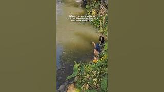 STORY WA || ALASAN TEMANKU #mancing #storywa #lucu #lucuabis #lucungakak #luculucu #lucuviral