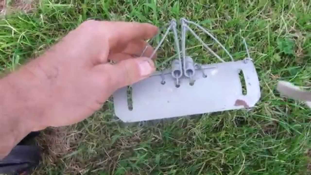 Mole catching with a new diesely smelling Duffus mole trap YouTube