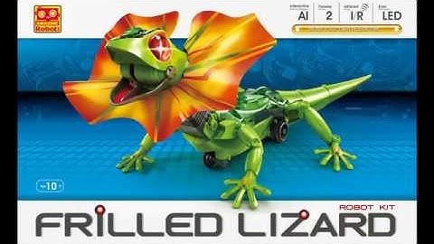 How to build a Robot Frilled Lizard