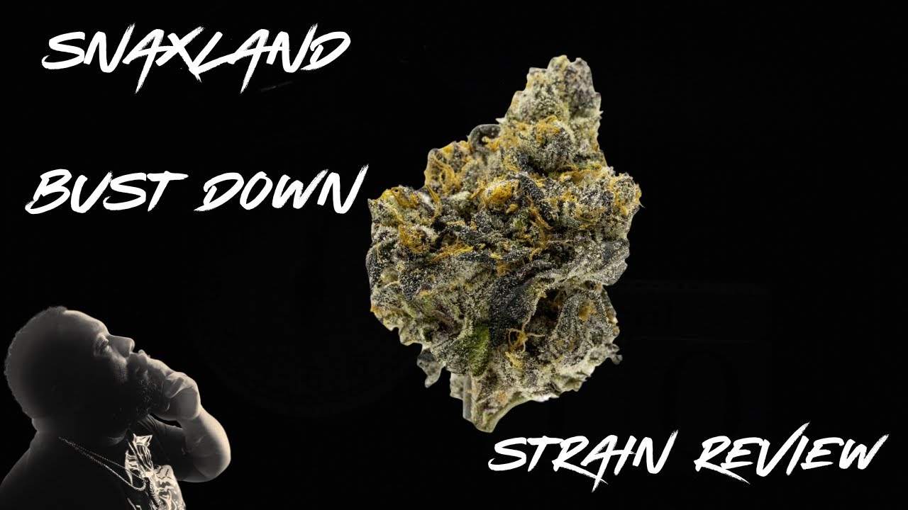 Strain Review W/Trey Da Stoner: SnaxLand Bust Down