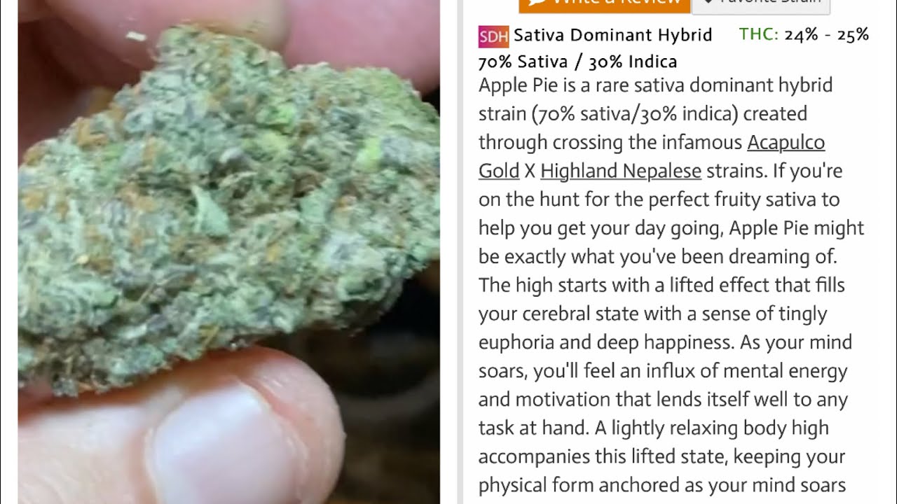 Apple Pie Weed Review